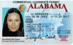 Alabama CDL License