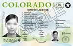 Colorado CDL License