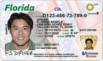 Florida CDL License