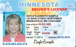 Minnesota CDL License