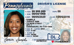 Pennsylvania CDL License