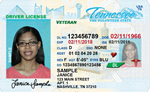 Tennessee CDL License