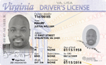 Virginia CDL License